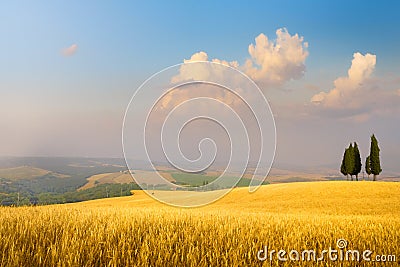 Art Italian summer countryside landscape â€“ golden fields and blue sky Stock Photo